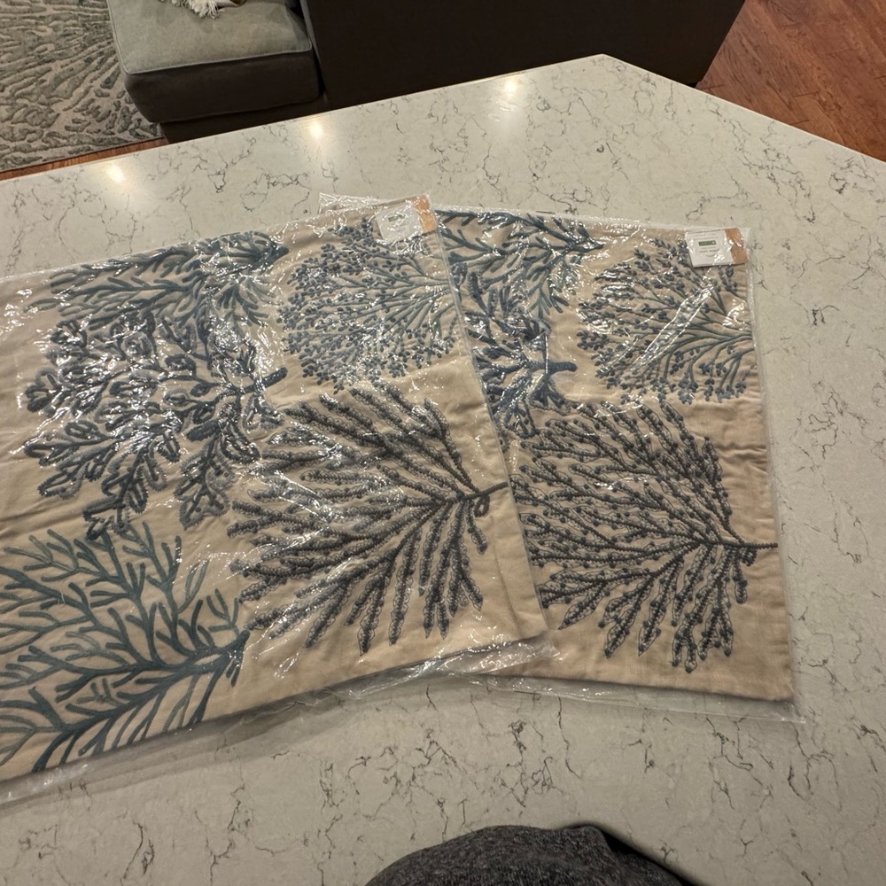 Pottery Barn Coastal Euro Blue and Cream Pillow Cover NWT Two Available